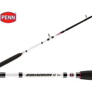 Penn Squadron ll (2018) 30-50 lbs  7'