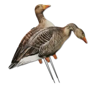 Big Al's Silhuet Grågæs - 12 stk