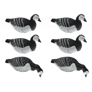 GHG Bramgås Skaller