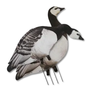 Big Al's Silhuet Bramgæs - 12 stk